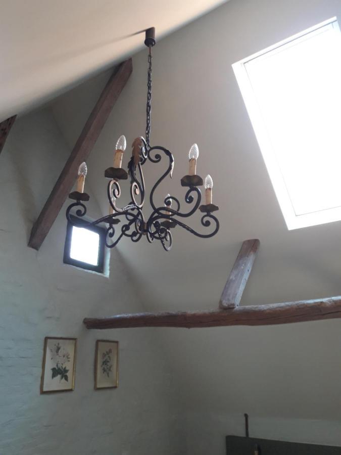 Butterfly Bed & Breakfast Bruges Luaran gambar