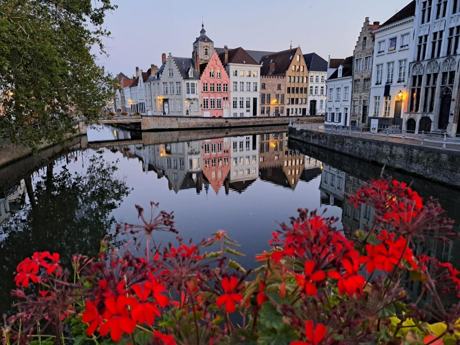 Butterfly Bed & Breakfast Bruges Luaran gambar